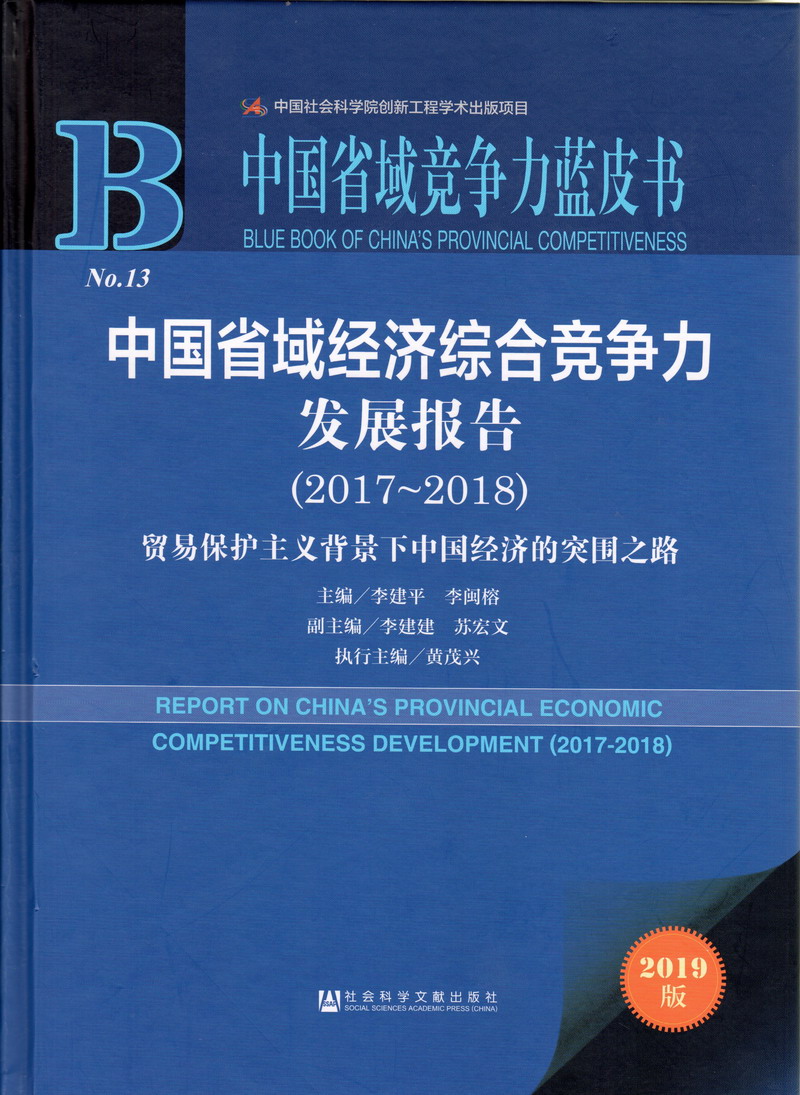 大黑肉棒使劲插免费在线观看中国省域经济综合竞争力发展报告（2017-2018）